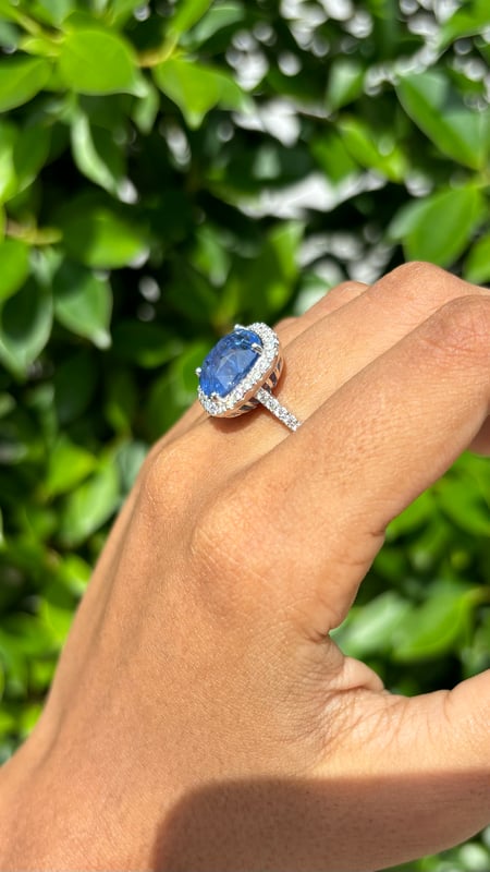 8.22 Carat cushion Sapphire & Halo Diamonds Ring in 18K White Gold