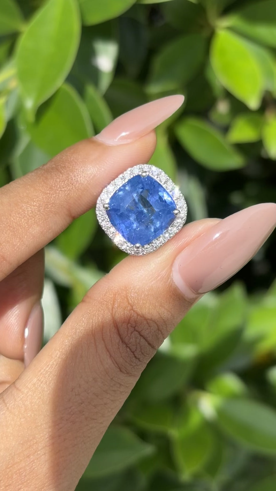8.22 Carat cushion Sapphire & Halo Diamonds Ring in 18K White Gold